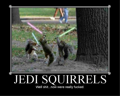 jedi-squirrels
